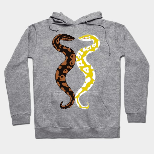 Twin Ball Pythons Hoodie by Tinker and Bone Studio